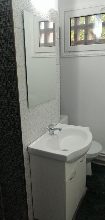 Central City Bacău Eksteriør billede
